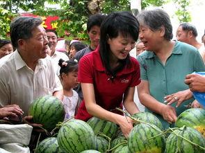 大丰吃瓜群众,揭秘当地生活百态